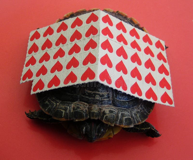 Pequeños papeles rojos del palillo con las impresiones finas de la tortuga de un papel pintado macro del fondo fotografía de archivo libre de regalías Pequeños papeles rojos del palillo con las impresiones finas de la tortuga de un papel pintado macro del fondo fotografía de archivo libre de regalías