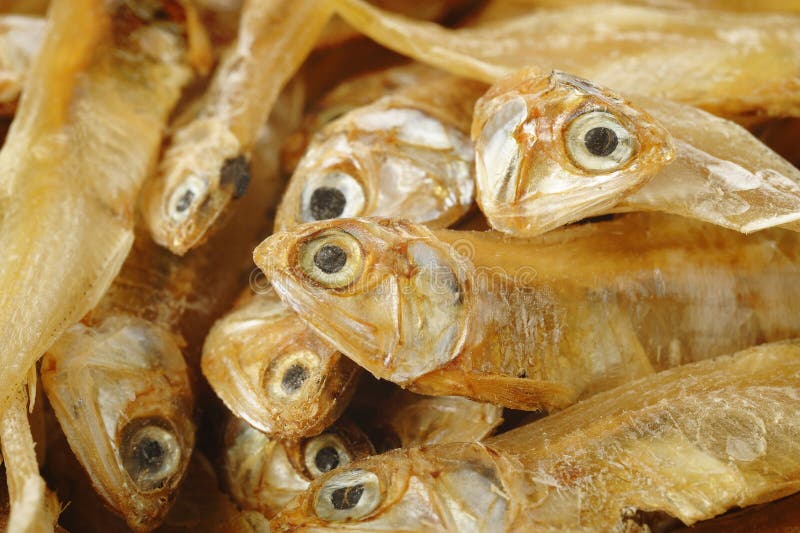Pequeños pescados imagenes de archivo Pequeños pescados imagenes de archivo