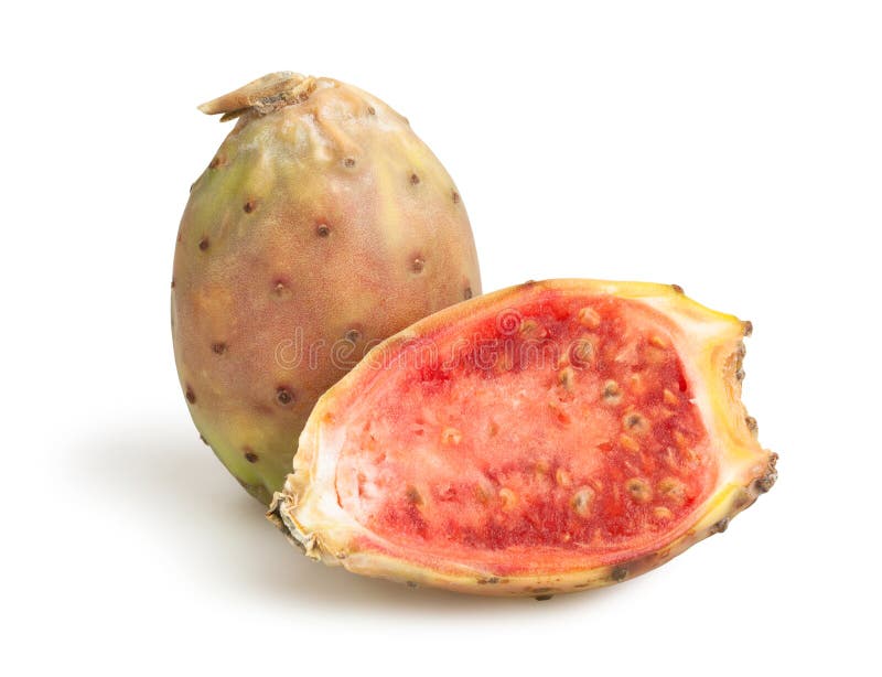 Figo-da-índia foto de stock royalty free