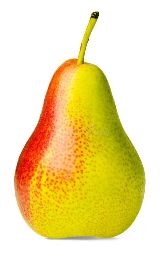Pera ?trucha ?en un fondo aislado blanco Colores saturados brillantes Elemento del dise?o para la impresi?n y el web fotos de archivo Pera ?trucha ?en un fondo aislado blanco Colores saturados brillantes Elemento del dise?o para la impresi?n y el web fotos de archivo