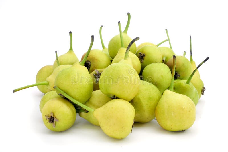 Peras De San Juan, Typical Spanish Small Pears Stock Photo Image of food, nutrition 41943152