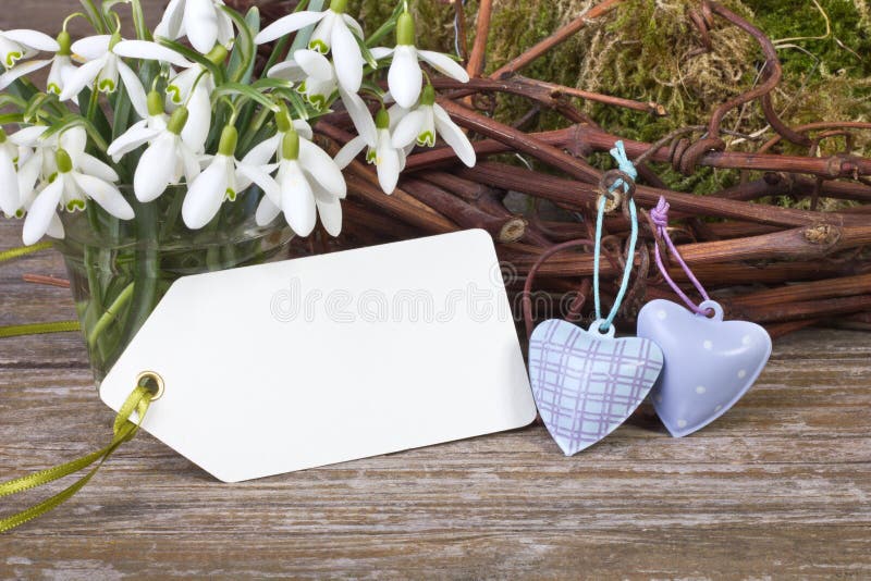 Perce-neiges image stock Perce-neiges image stock