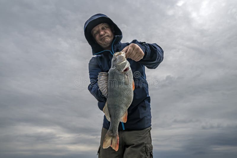 Perch Fishing. Fisherman Look at Big Perch Fish Skeptical Stock Photo -  Image of skeptical, fish: 251232166