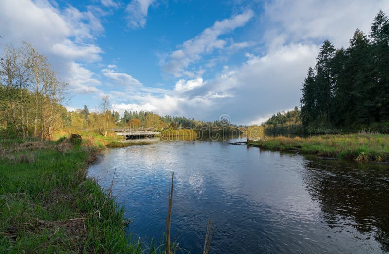 Cove Olympia Percival Stock Photos Free & RoyaltyFree Stock Photos