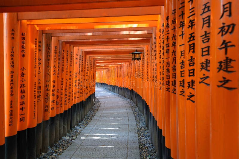 Fushimi Inari Taisha is the head shrine of Inari, located in Fushimi-ku, Kyoto, Japan. The shrine sits at the base of a mountain also named Inari which is 233 metres above sea level, and includes trails up the mountain to many smaller shrines which span 4 kilometers and takes approximately 2 hours to walk up. The main shrine structure was built in 1499. Fushimi Inari Taisha is the head shrine of Inari, located in Fushimi-ku, Kyoto, Japan. The shrine sits at the base of a mountain also named Inari which is 233 metres above sea level, and includes trails up the mountain to many smaller shrines which span 4 kilometers and takes approximately 2 hours to walk up. The main shrine structure was built in 1499.