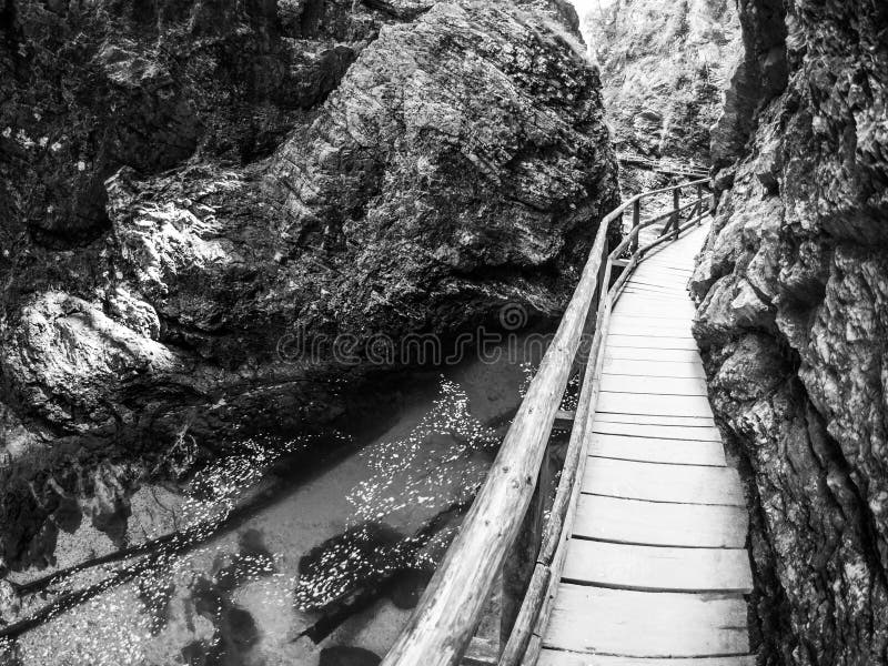 Percorso di legno nella gola di Vintgar fotografia stock Percorso di legno nella gola di Vintgar fotografia stock