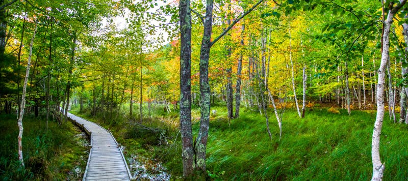 Percorso tranquillo con i colori di caduta del parco nazionale di acadia fotografie stock Percorso tranquillo con i colori di caduta del parco nazionale di acadia fotografie stock