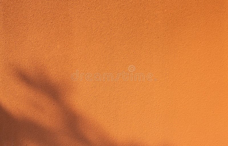 Perete de beton portocaliu gol cu umbră frunziș. textură de beton colorată. fundal vibrator perete. umbră frunză pe ciment portoca stock photos