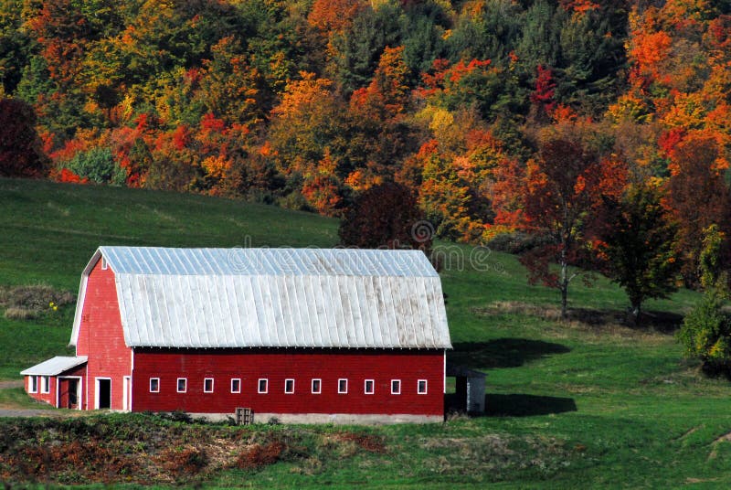Autumn-Fall- Red Barn With Fall Leaves- New York State