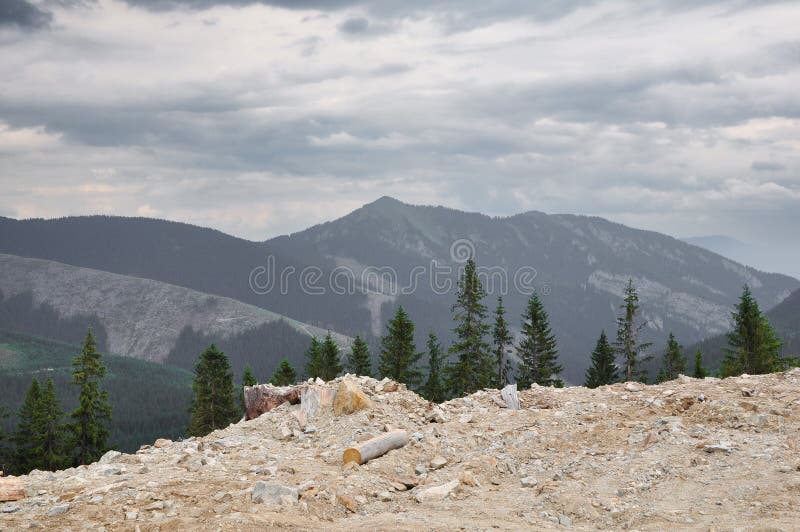 Tlmené farby horská panoráma, pohľad cez borovicový les, hmlistý deň, Tatry, Slovensko