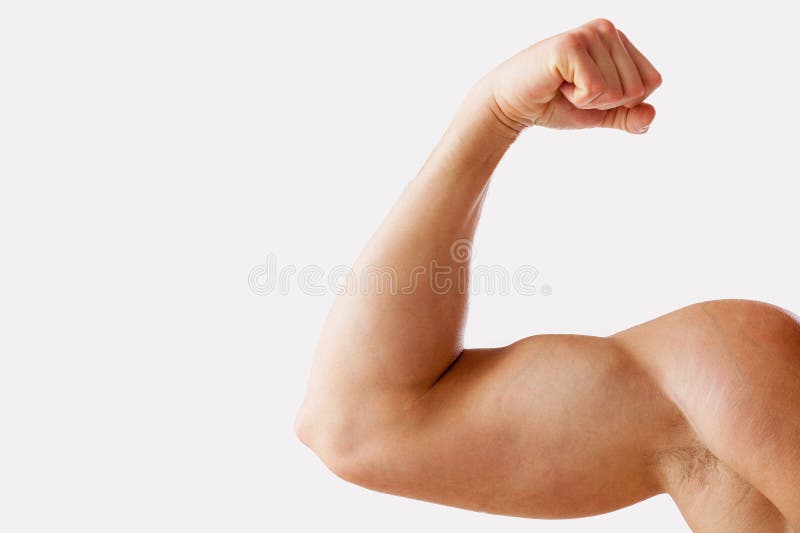 Perfect bicep.