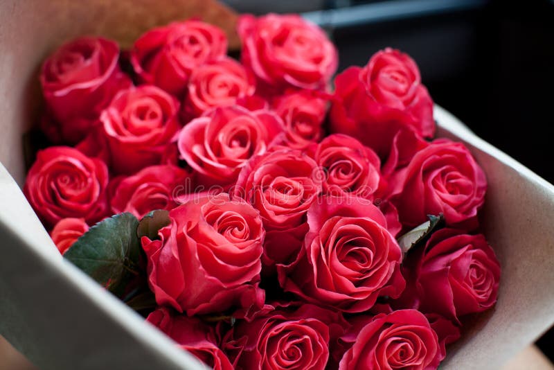 Perfect bouquet of fresh cut roses in car. stock photos Perfect bouquet of fresh cut roses in car. stock photos