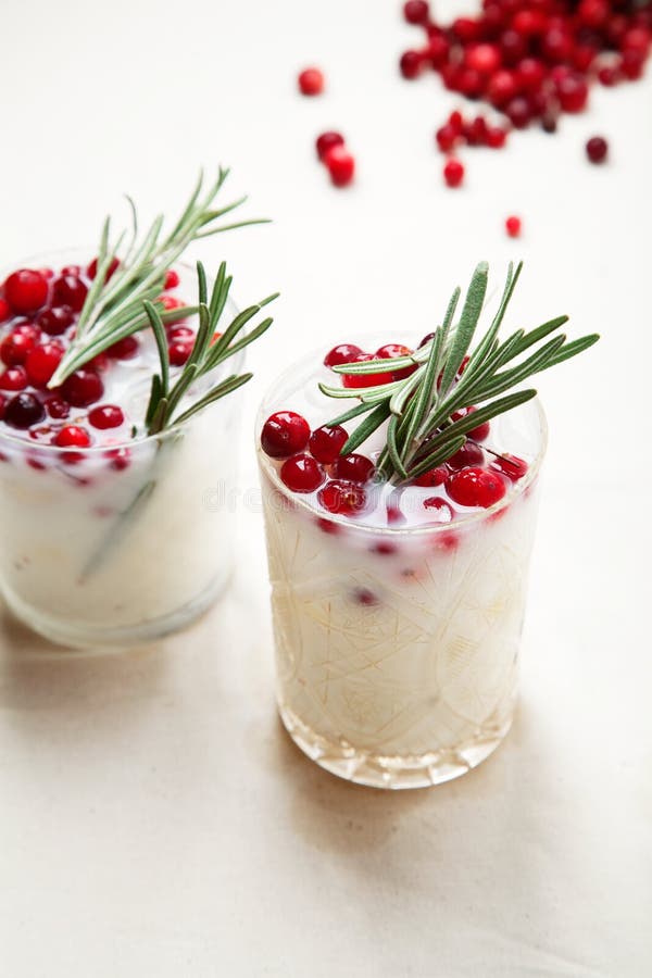 Perfect Christmas Cocktail: Coconut Margarita with Cranberries and ...