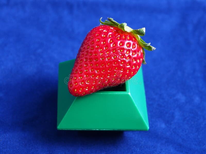 GMO strawberry stock image. Image of meal, organism, biology 31206089