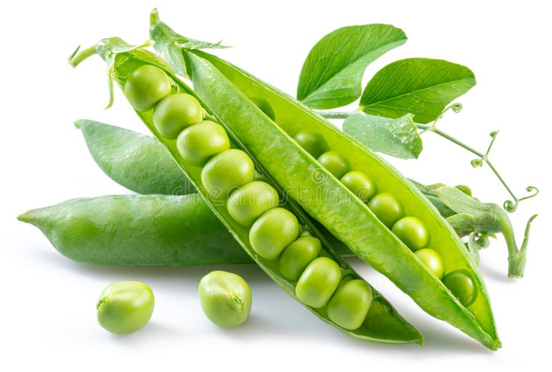 Perfect Green Peas in Pod Isolated on White Background Stock Image
