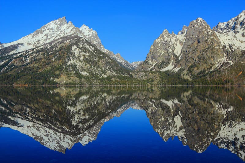 Perfect Morning Reflection of Jagged Rocky Mountain Peaks in Jenny Lake, Grand Teton National Park, Wyoming, United States