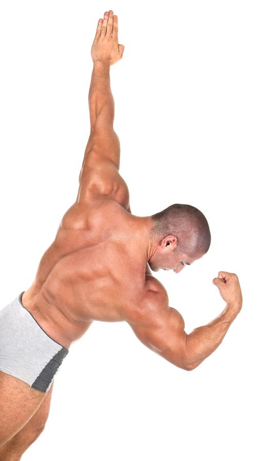 The Perfect Muscular male