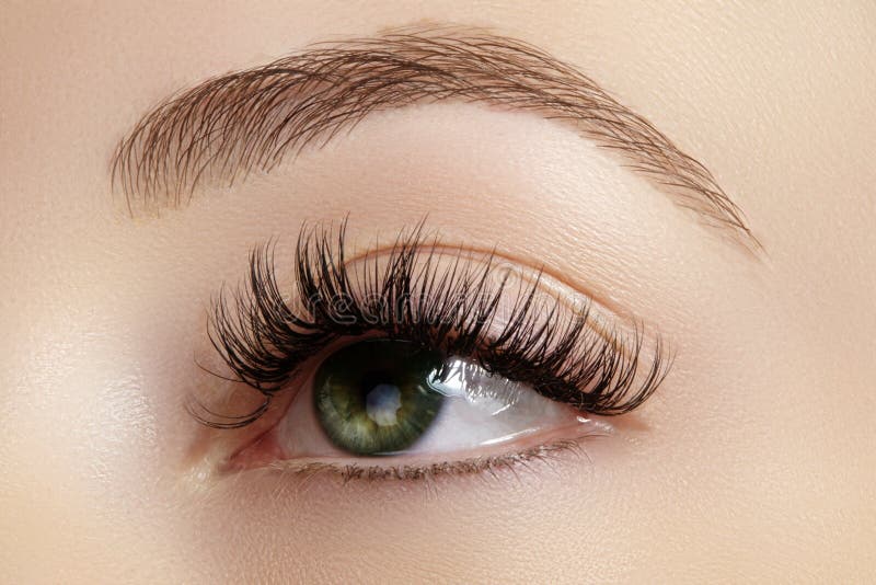 Perfect shape of eyebrows, brown eyeshadows and long eyelashes. Closeup macro shot of fashion smoky eyes visage stock photo Perfect shape of eyebrows, brown eyeshadows and long eyelashes. Closeup macro shot of fashion smoky eyes visage stock photo