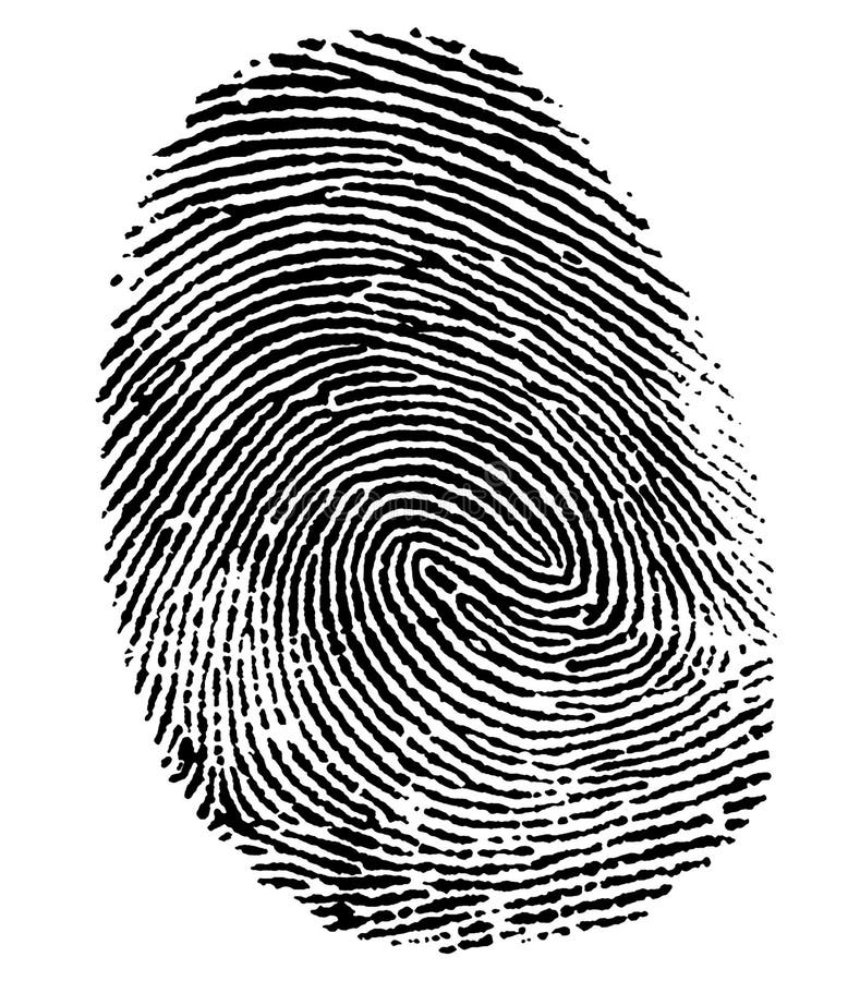 Perfect thumb fingerprint stock photo. Image of high 36154540