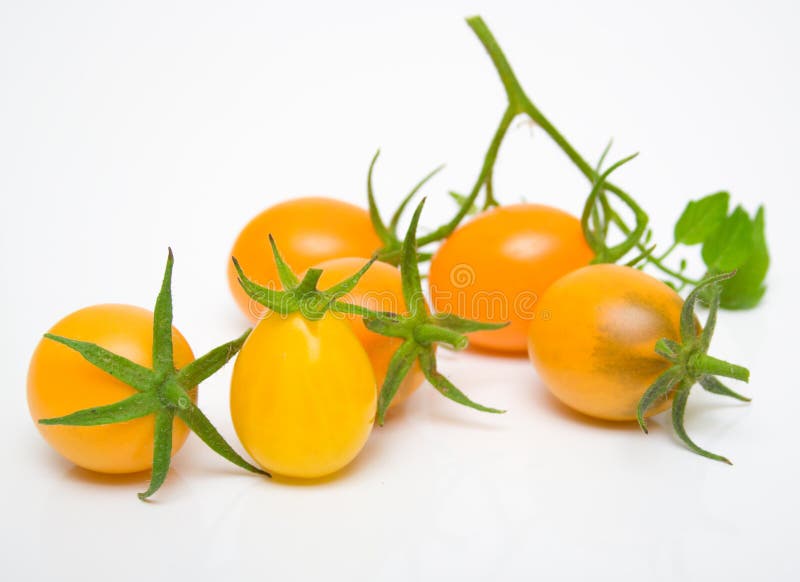 Perfect yellow tomatoes