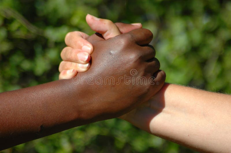 A black hand of an African American woman and a white hand of an caucasian woman holding each other to show that they are a perfect team. A black hand of an African American woman and a white hand of an caucasian woman holding each other to show that they are a perfect team