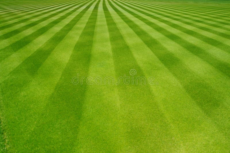 Perfectly striped freshly mowed garden lawn