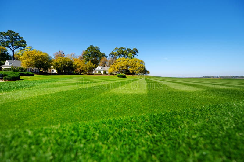 Perfectly striped freshly mowed garden lawn