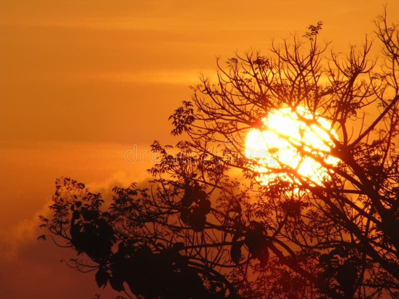 Perfekt morgonsol i indonesia arkivbild Perfekt morgonsol i indonesia arkivbild