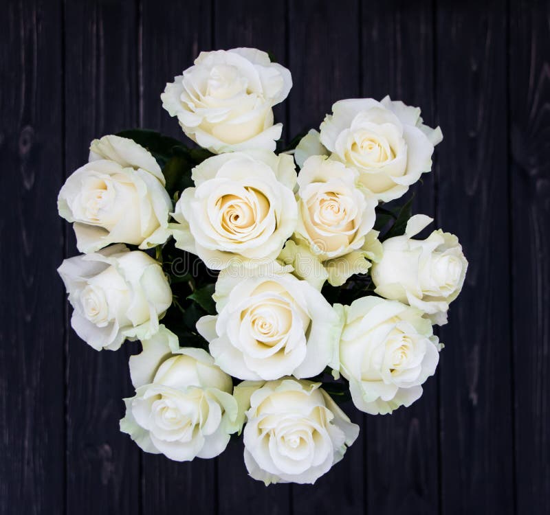 Perfekter Blumenstrauß von luxuriösen Rosen der Creme für die Heirat, Geburtstag oder Valentinsgruß ` s Tag Beschneidungspfad ein lizenzfreies stockfoto Perfekter Blumenstrauß von luxuriösen Rosen der Creme für die Heirat, Geburtstag oder Valentinsgruß ` s Tag Beschneidungspfad ein lizenzfreies stockfoto
