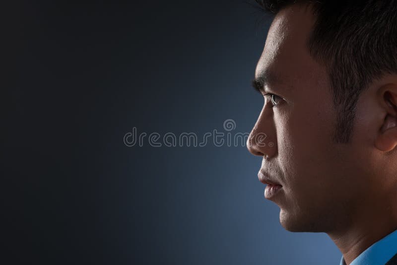 Perfil da força imagem de stock royalty free Perfil da força imagem de stock royalty free