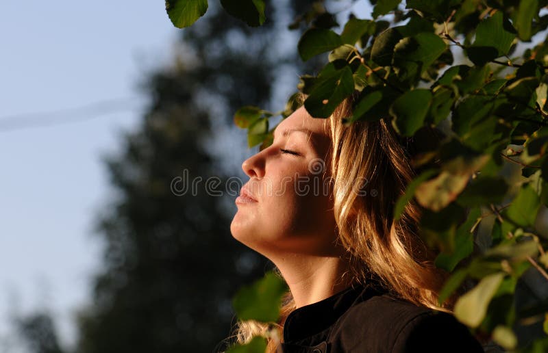 Perfil das meninas foto de stock. Imagem de folha, cara - 12764110