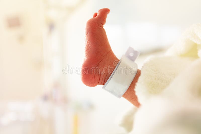 Profile view of newborn child`s feet with label from maternity ward. Profile view of newborn child`s feet with label from maternity ward