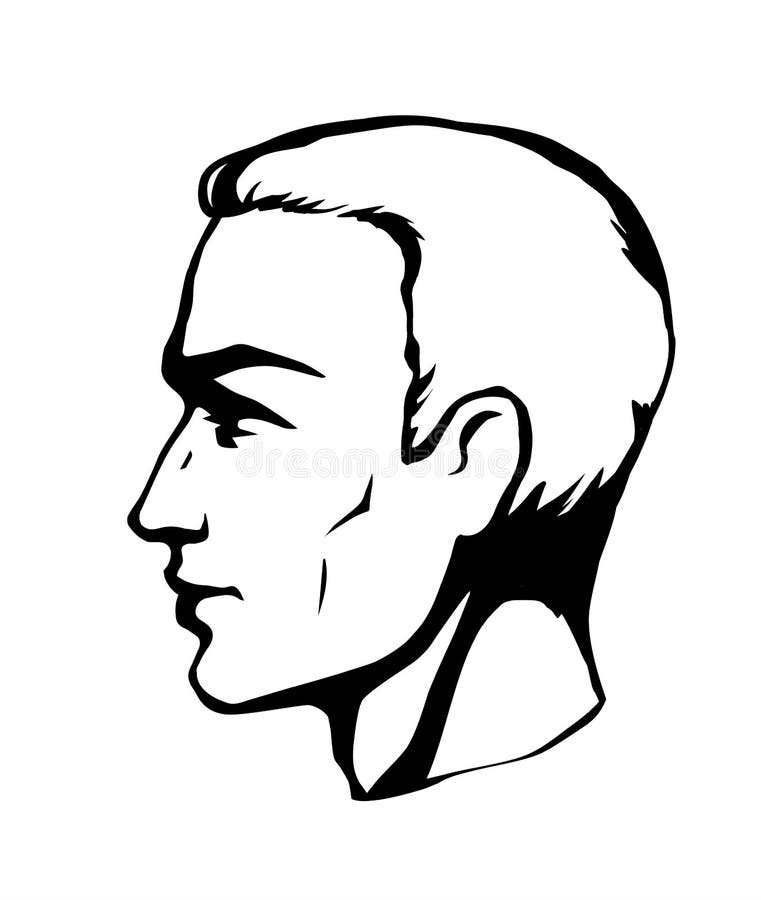 Perfil De Un Hombre Apuesto. Dibujo Vectorial Ilustración del Vector -  Ilustración de peinado, muestra: 190779973
