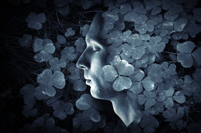 Perfil do profMale do close up e obscuridade - retrato backgroundile da floresta selvagem azul da grama de Oxalis do homem caucas imagens de stock Perfil do profMale do close up e obscuridade - retrato backgroundile da floresta selvagem azul da grama de Oxalis do homem caucas imagens de stock