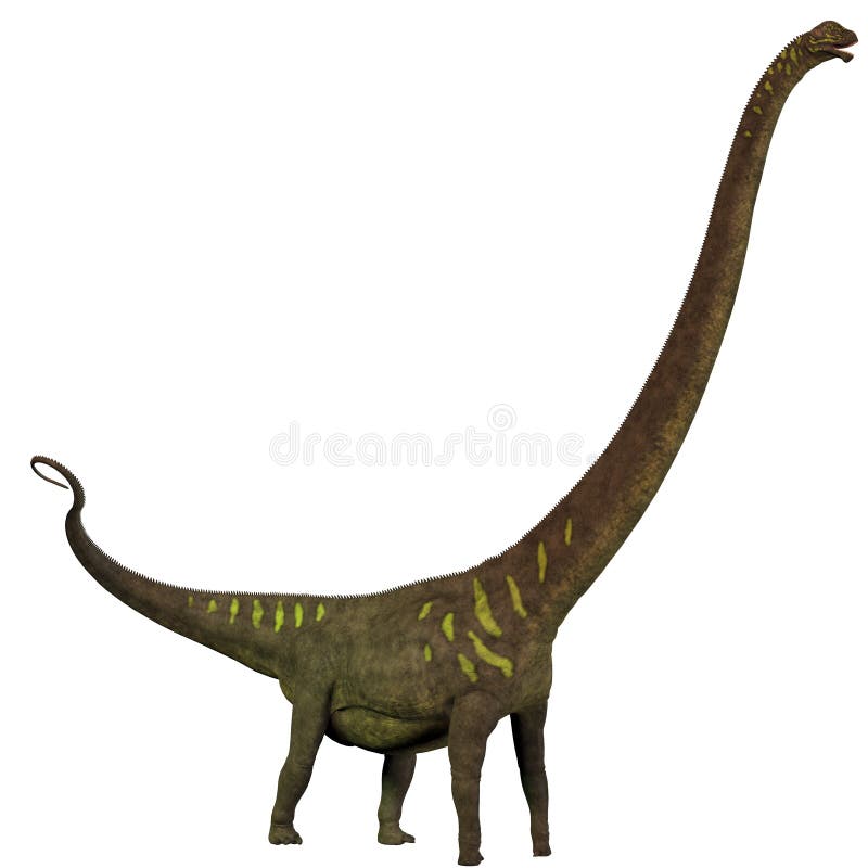 Perfil do Mamenchisaurus youngi ilustração royalty free
