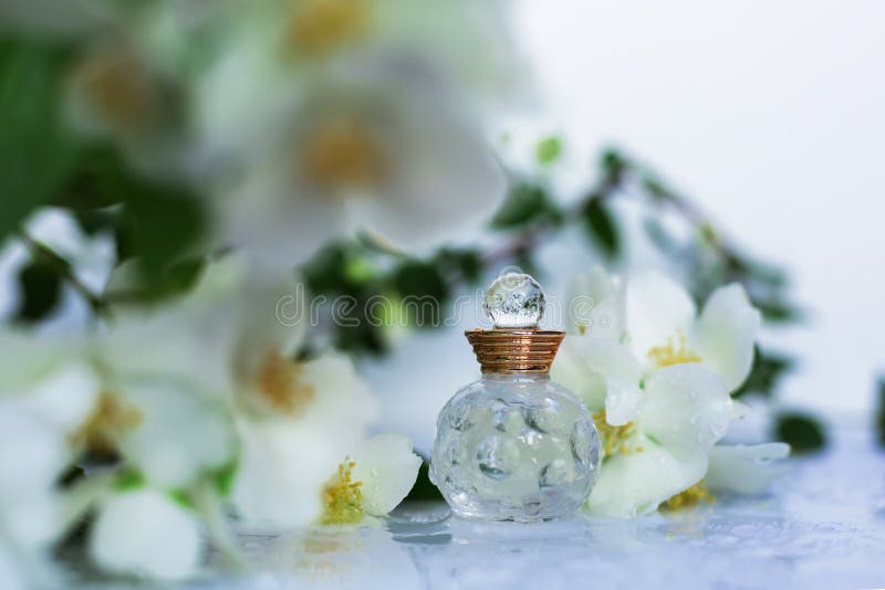 861 Jasmine Flower Perfume Bottle Stock Photos Free & RoyaltyFree