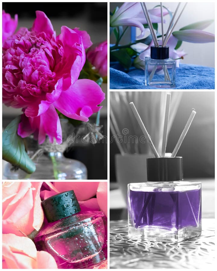 Perfume for Home, Beautiful Flowers Essence Background Collage Stock