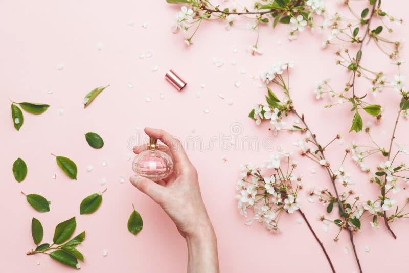 Perfume water in woman hand with spring blossom. Top view on pink isolated background, flatlay.