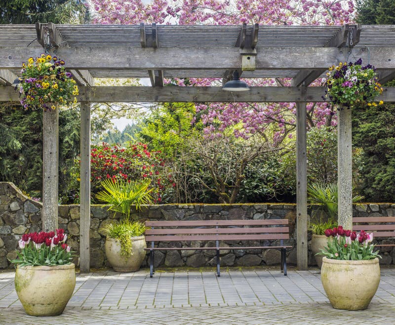 Pergola rustica con il banco e vasi da fiori sotto il ciliegio sbocciante immagini stock Pergola rustica con il banco e vasi da fiori sotto il ciliegio sbocciante immagini stock