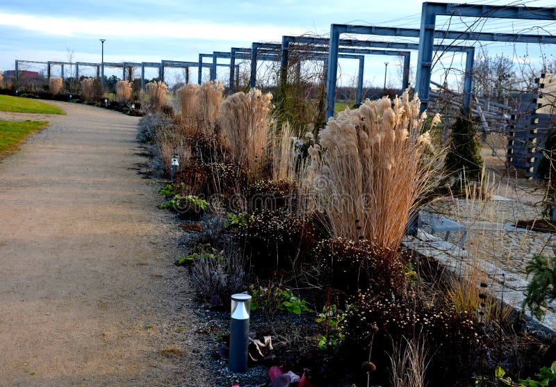 arched pergolas made of gray metal frames for climbing plants. benches and chairs of transparent wire furniture. dry garden walls and tall ornamental grasses sandy paths, sunlight, sunset, perennial. arched pergolas made of gray metal frames for climbing plants. benches and chairs of transparent wire furniture. dry garden walls and tall ornamental grasses sandy paths, sunlight, sunset, perennial