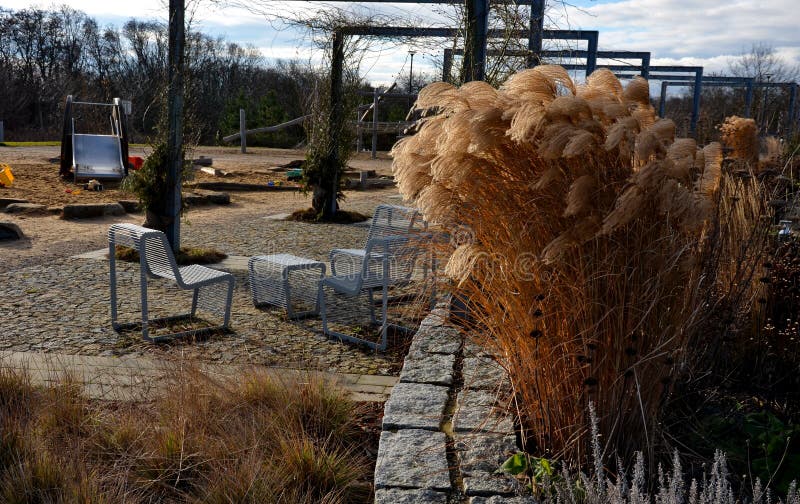 arched pergolas made of gray metal frames for climbing plants. benches and chairs of transparent wire furniture. dry garden walls and tall ornamental grasses sandy paths, sunlight, sunset, perennial. arched pergolas made of gray metal frames for climbing plants. benches and chairs of transparent wire furniture. dry garden walls and tall ornamental grasses sandy paths, sunlight, sunset, perennial