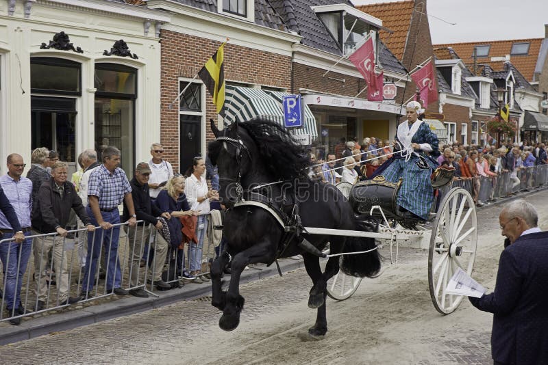 Period Costume Rider with Frisian Carriage Horse Editorial Stock Photo ...