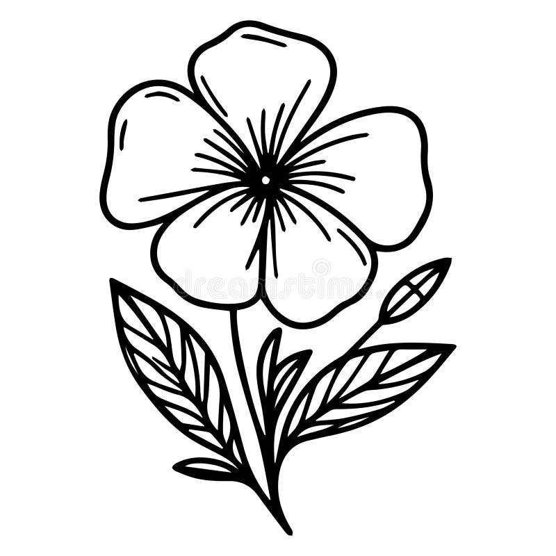Periwinkle Flower Line Drawing, Clip Art Periwinkle Flower Outline ...