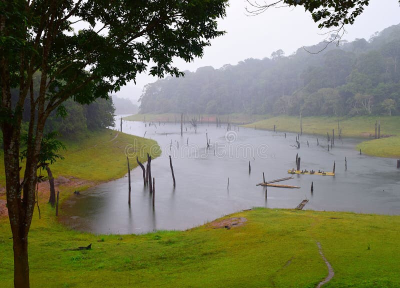 Periyar jezioro, las i park narodowy w deszczu, Kerala, India zdjęcia stock Periyar jezioro, las i park narodowy w deszczu, Kerala, India zdjęcia stock