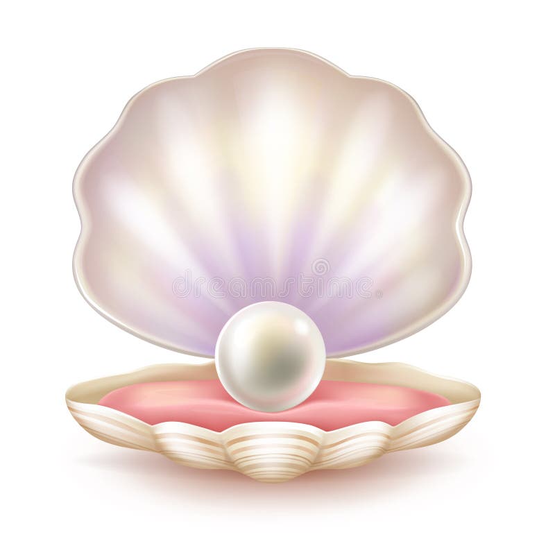 Perla preziosa nel vettore realistico aperto delle coperture royalty illustrazione gratis Perla preziosa nel vettore realistico aperto delle coperture royalty illustrazione gratis