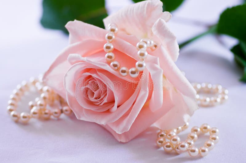 Perlenhalskette und weich Rosa stieg lizenzfreies stockbild