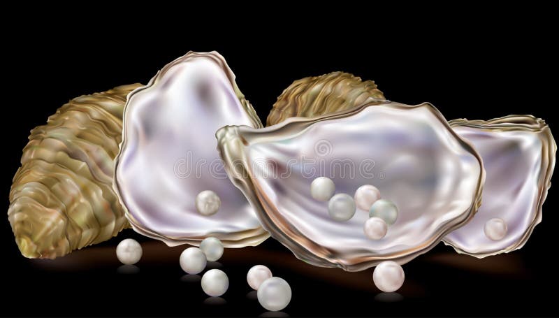 Tour De Culture De Perles En Priant Ouvrir Une Coquille D'huître Pour  Placer Une Pince Pour Détendre Le Muscle Photo stock - Image du perle,  marin: 270494616