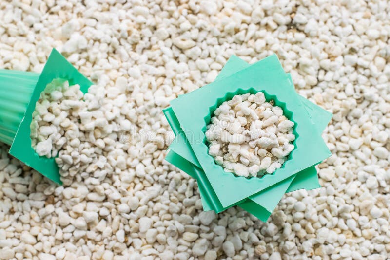 Perlite with green cup stock photo. Image of health 144238782