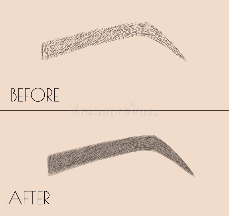 Permanente make-up Correctie van de vorm en het kleuren van de wenkbrauwen Salonprocedure Microblading stock illustratie Permanente make-up Correctie van de vorm en het kleuren van de wenkbrauwen Salonprocedure Microblading stock illustratie
