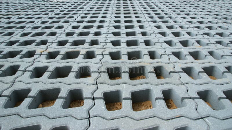 Permeable Pavers (Lawn grid)